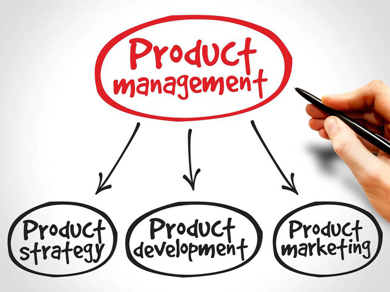 Product manager: задачи, обязанности, качества